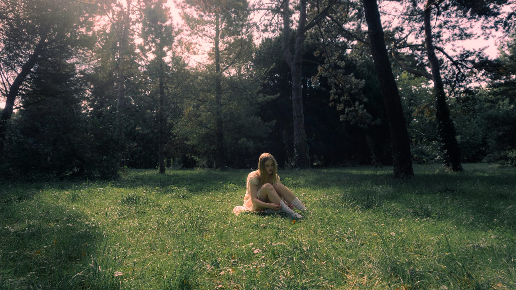 Woman sitting alone in a meadow under tall dark trees.