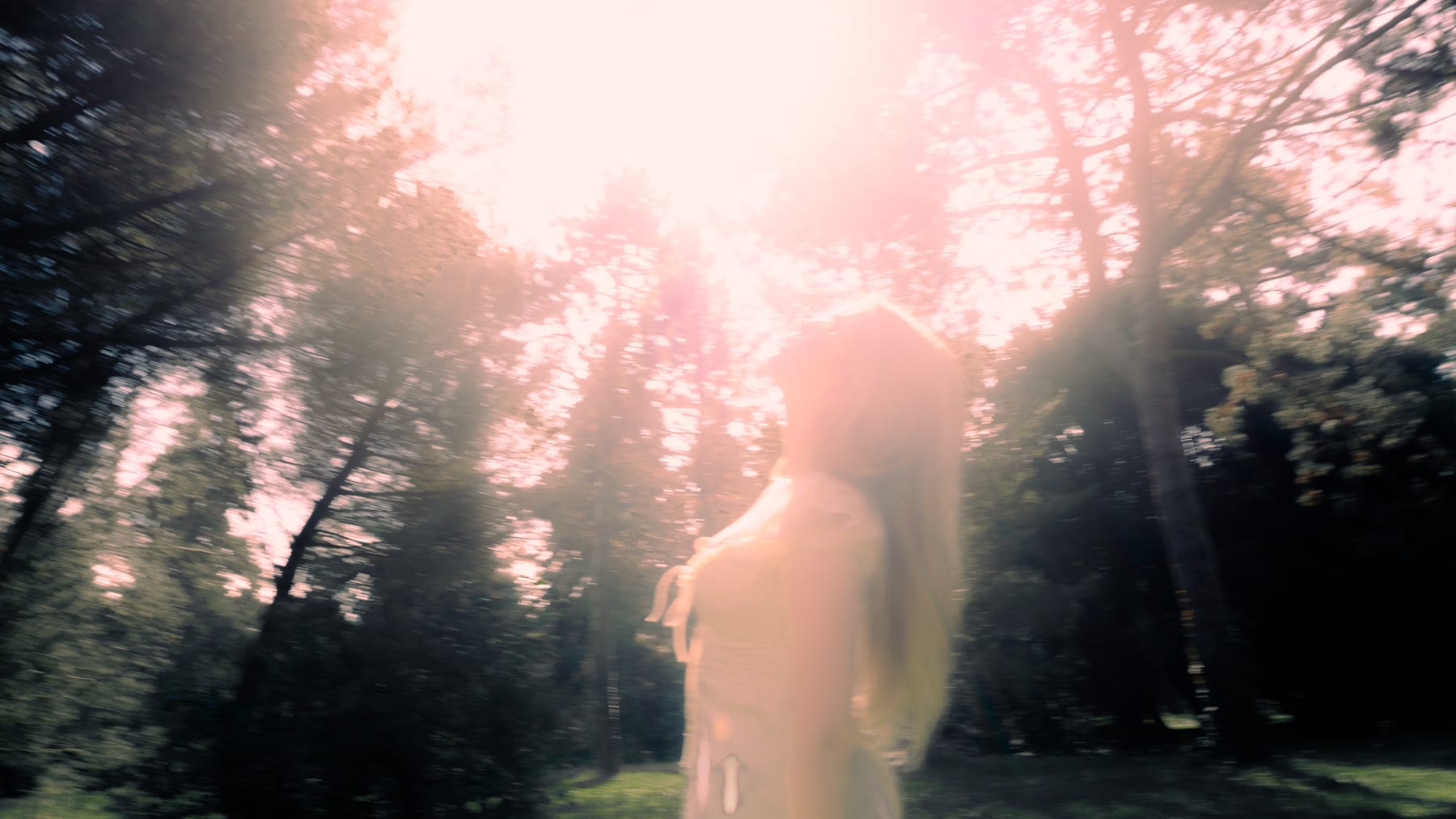 Blurred figure in a light dress against the sun between pine trees.