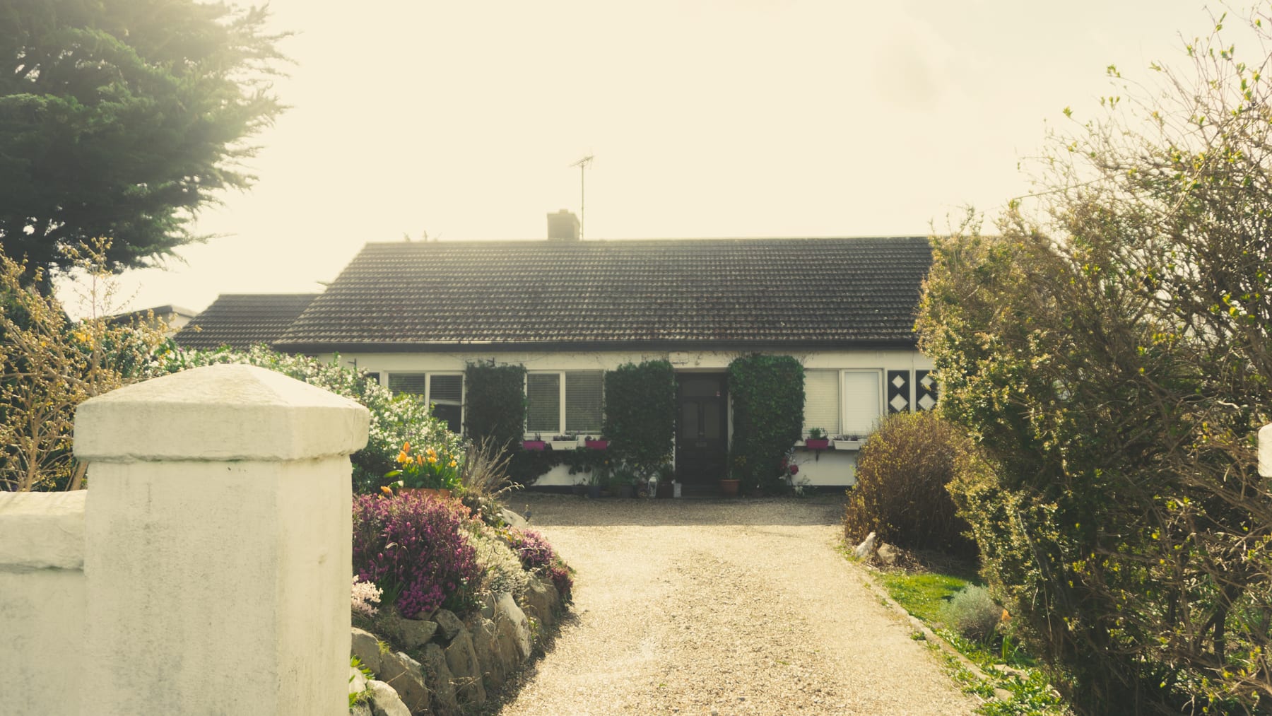 A white bungalow with a gravel drive between flowering shrubs and a white gatepost. (dummycopy)