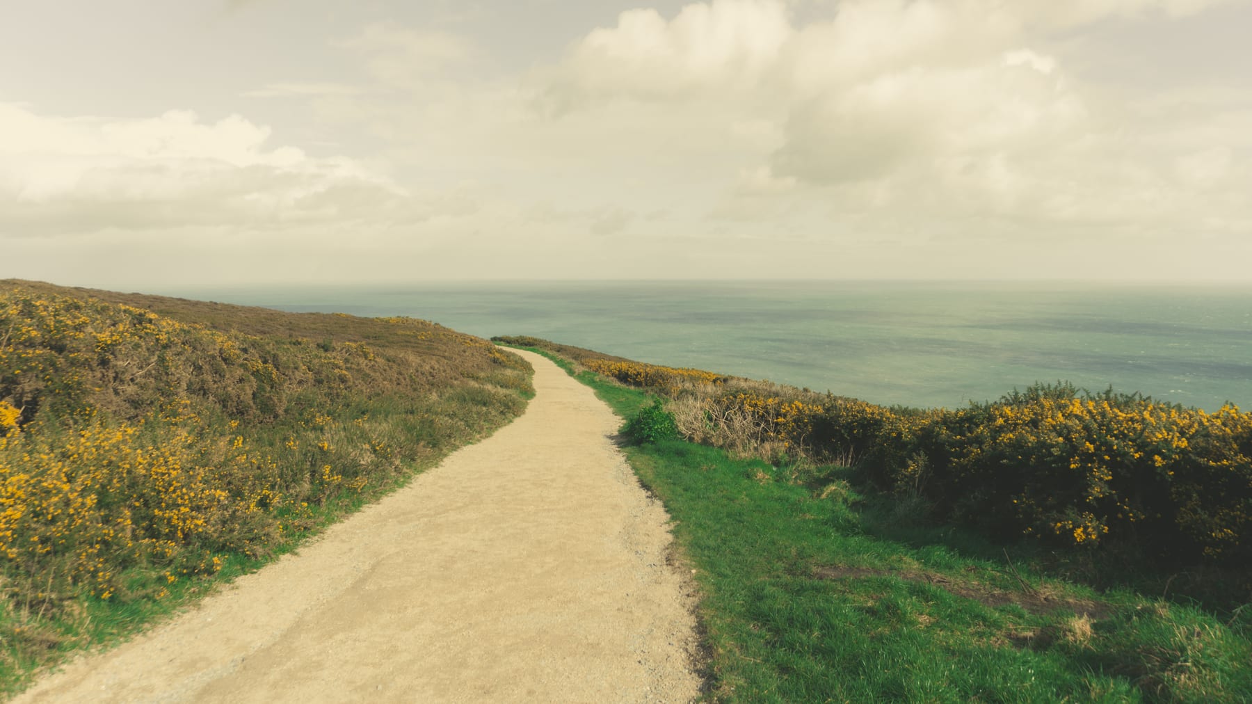 A dirt path winding towards the sea across a gorse-covered hillside under a cloudy sky. (dummycopy)