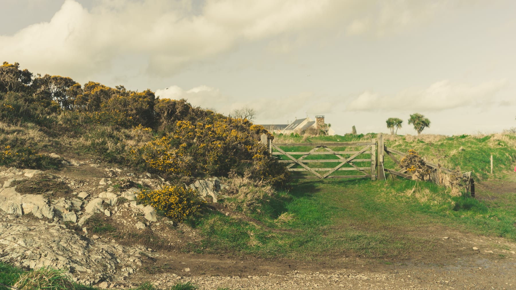 A rocky hillside covered in gorse, with a wooden gate, a pasture and a distant house behind. (dummycopy)
