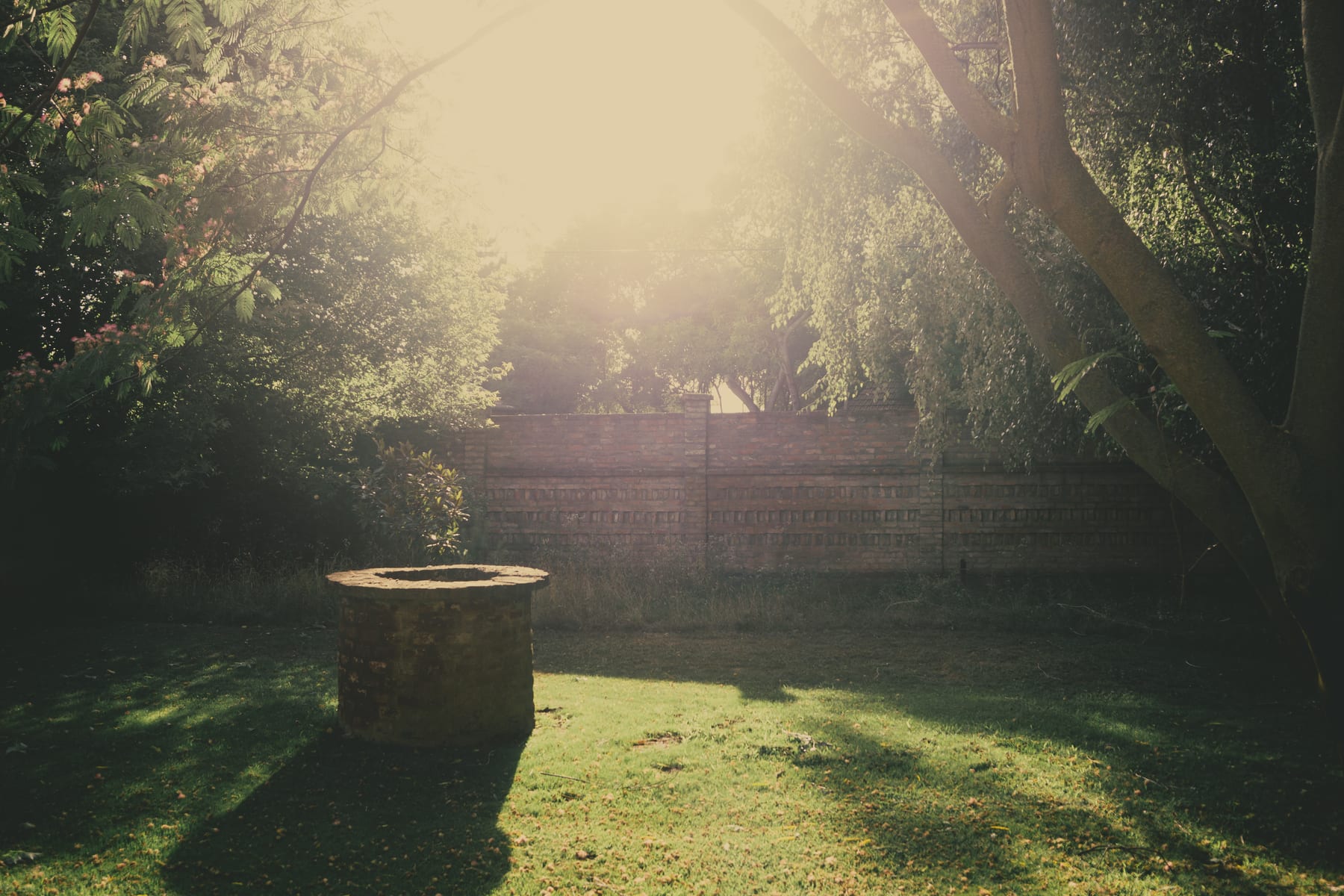 A sunlit garden with a brick well among trees, the wall behind. (dummycopy)