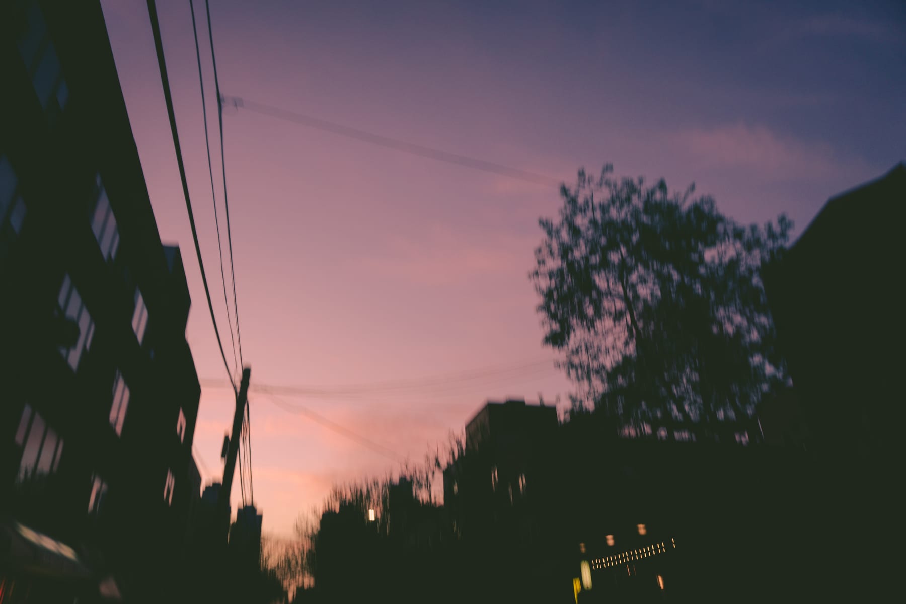 A purple evening sky above dark buildings, trees and power lines. (dummycopy)